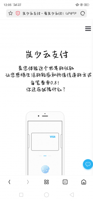 图片[1]-价值600元的岚少云支付网站源码-淘源码网