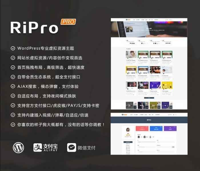 图片[1]-RIPro主题 v7.2 免授权修复后门完美版-淘源码网